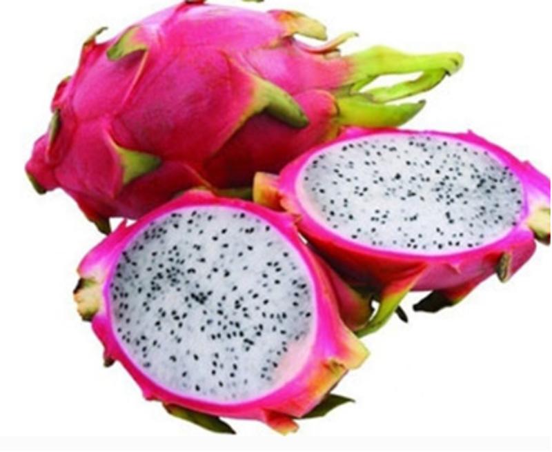 糖尿病孕妇能吃水果吗,火龙果糖尿病的人可以吃吗