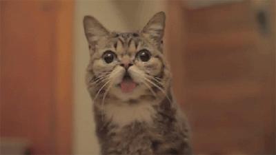 咬到舌头想吃肉是什么原因,总是无意间咬到舌头是想吃肉了