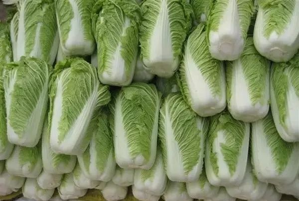 巴彦淖尔李军芳,内蒙李军芳