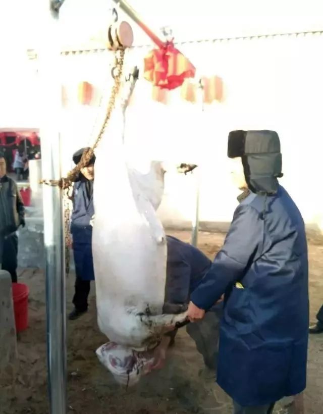 巴彦淖尔李军芳,内蒙李军芳