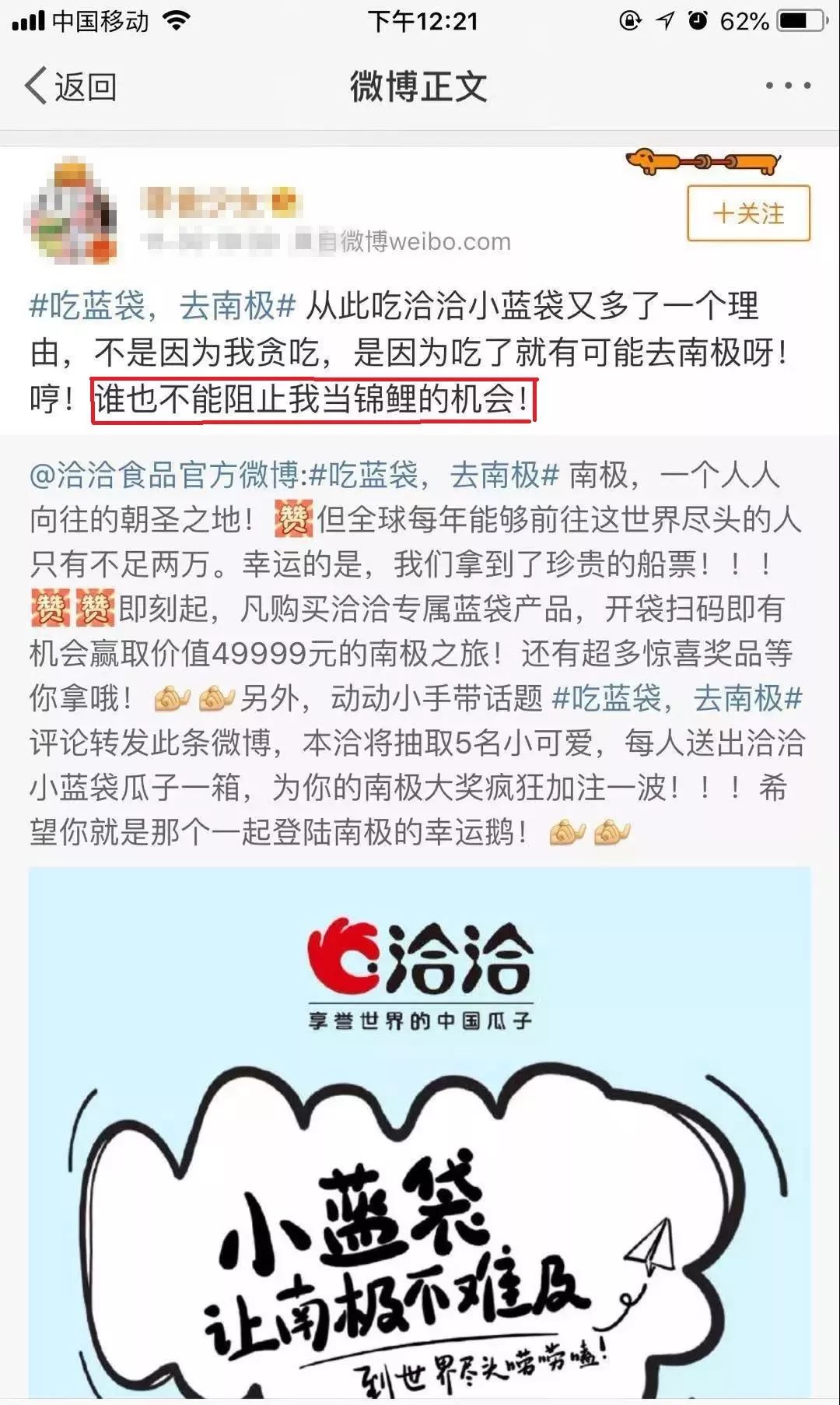 “锦鲤营销”爆红后，洽洽也跟风了