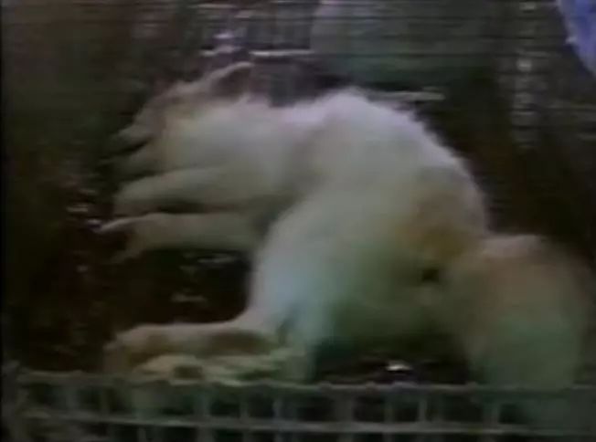 豆瓣9.1这部剧全程高能,豆瓣9.8分以上的电影悬疑中国