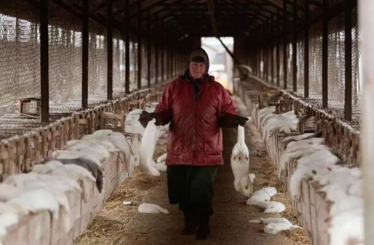 豆瓣9.1这部剧全程高能,豆瓣9.8分以上的电影悬疑中国