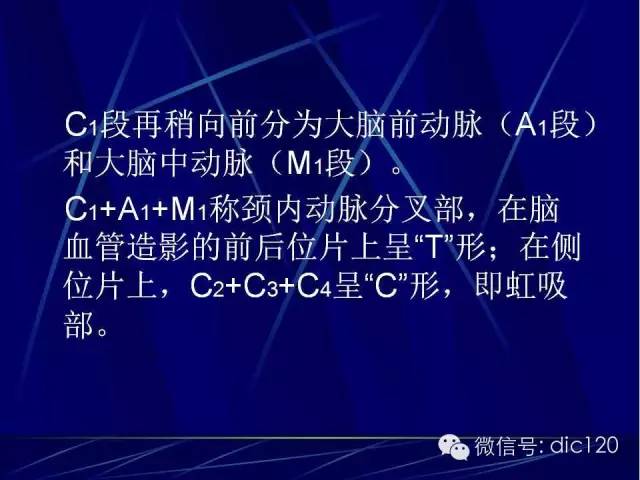 脑血管解剖技巧,脑血管解剖与介入