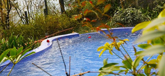 成都又可以泡温泉又可以玩的场所,成都哪家温泉好耍一点