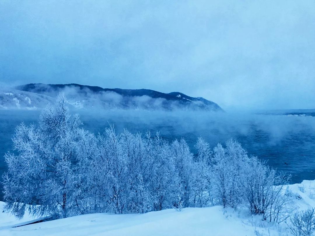 2019年，你应该去亚寒带看看