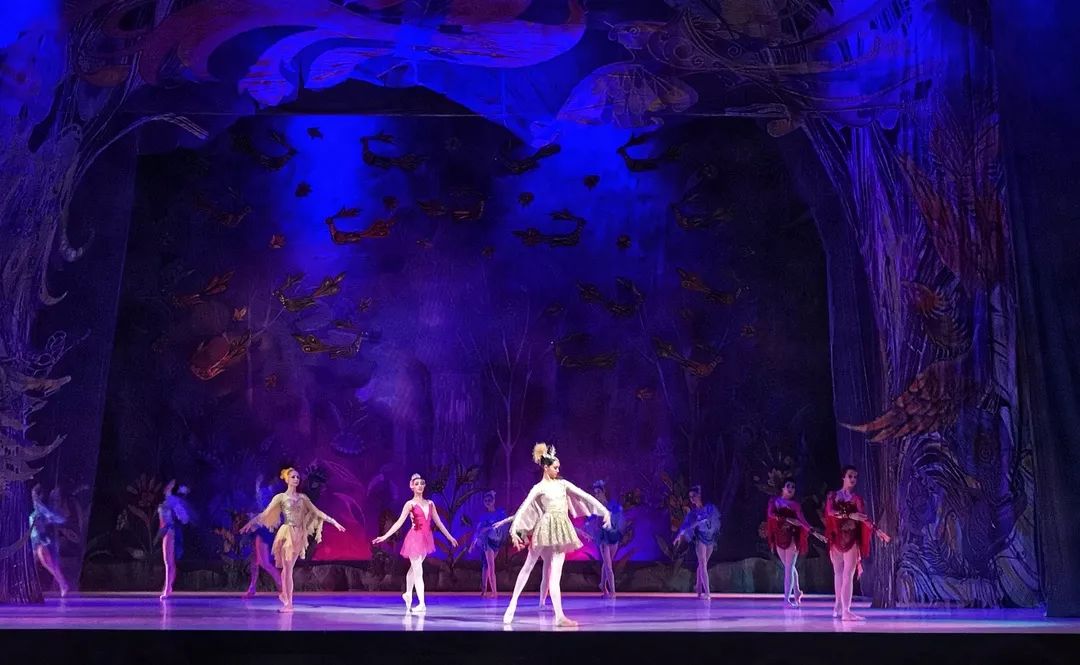 2019年，你应该去亚寒带看看