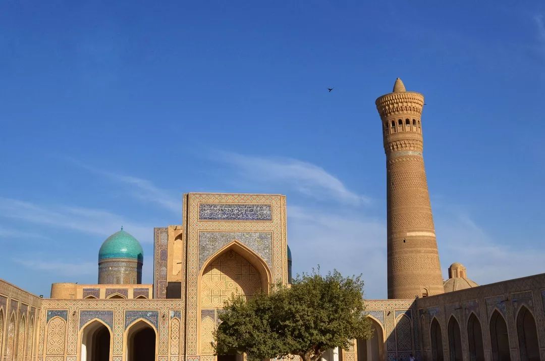 2019年，你应该去亚寒带看看