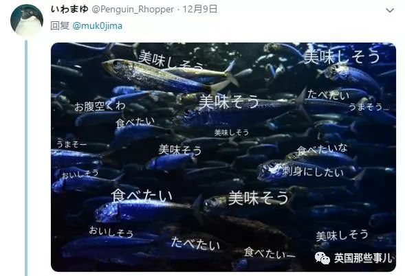 水族馆里面有什么样的小鱼,水族馆鱼虾