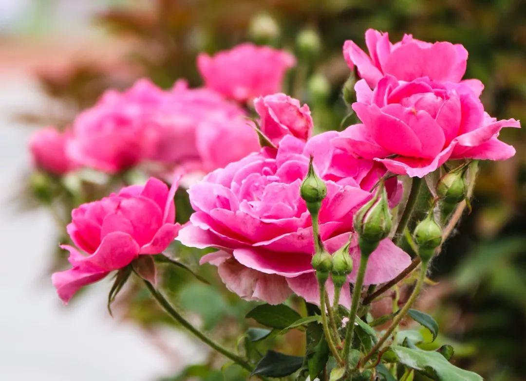 临沂教育高质量发展,临沂市河东区教育