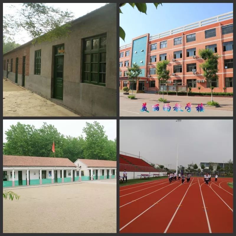 临沂教育高质量发展,临沂市河东区教育