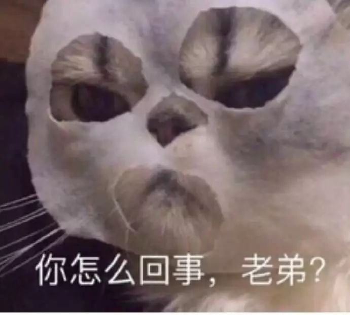 保暖内衣哪个牌子是正品,哪个牌子的保暖内衣质量好点