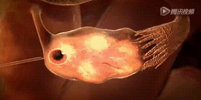 异地恋、姐弟恋陆续见光死，女人如何掌舵成为幸福操盘手？