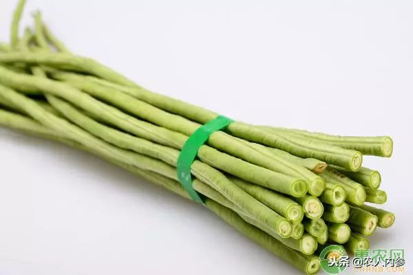 8月12日农产品批发价格,5月11日农产品批发价格