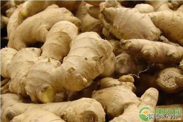 8月12日农产品批发价格,5月11日农产品批发价格