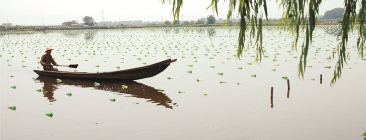 这里是安徽,这里是新安
