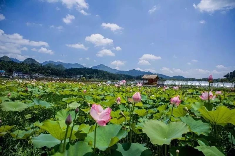 遵义5a景区一览表,遵义市第二批4A级以上景区