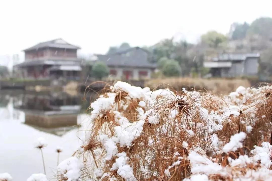 遵义5a景区一览表,遵义市第二批4A级以上景区