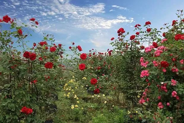 遵义5a景区一览表,遵义市第二批4A级以上景区