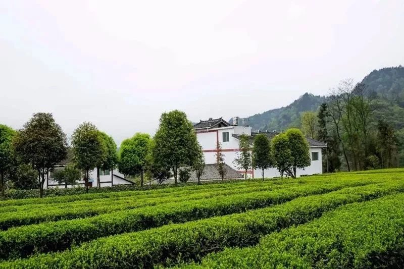 遵义5a景区一览表,遵义市第二批4A级以上景区