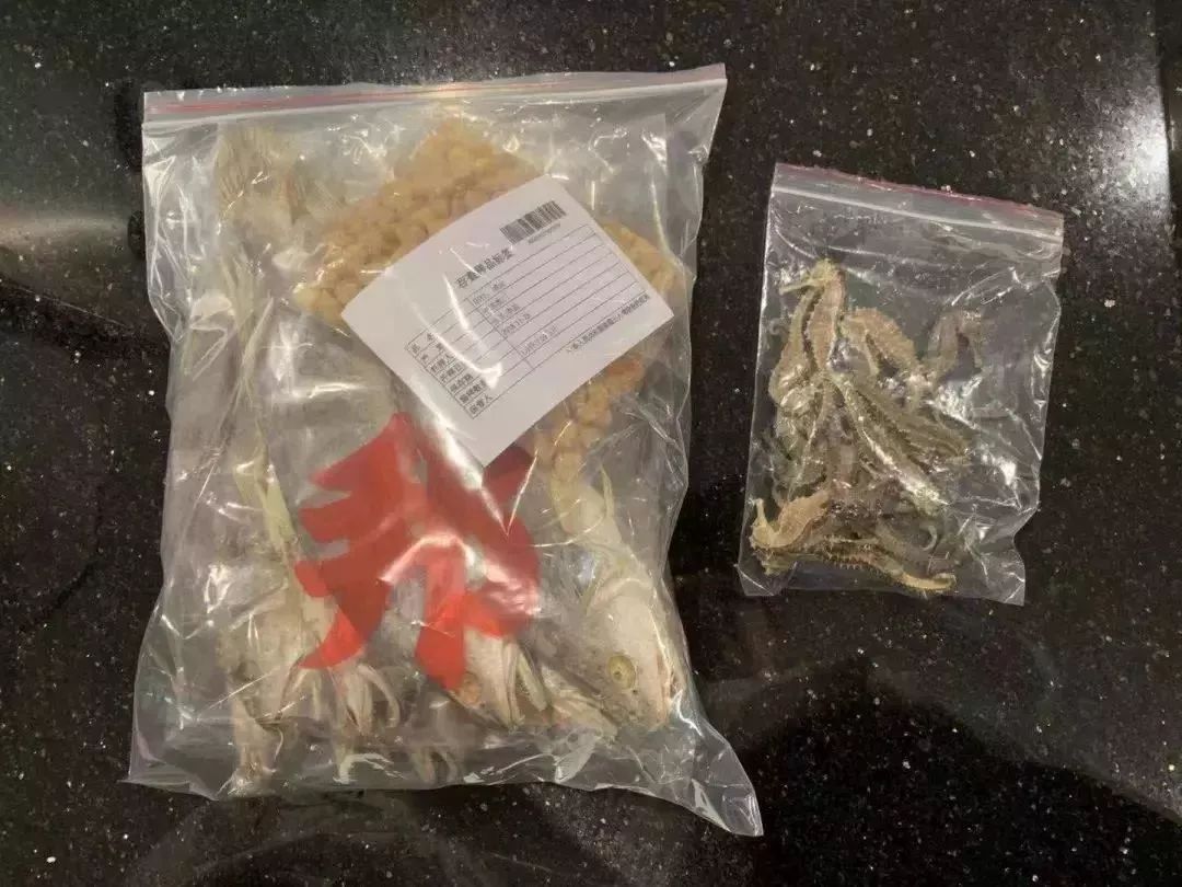 去港澳旅游禁带什么物品,去港澳不能带什么东西