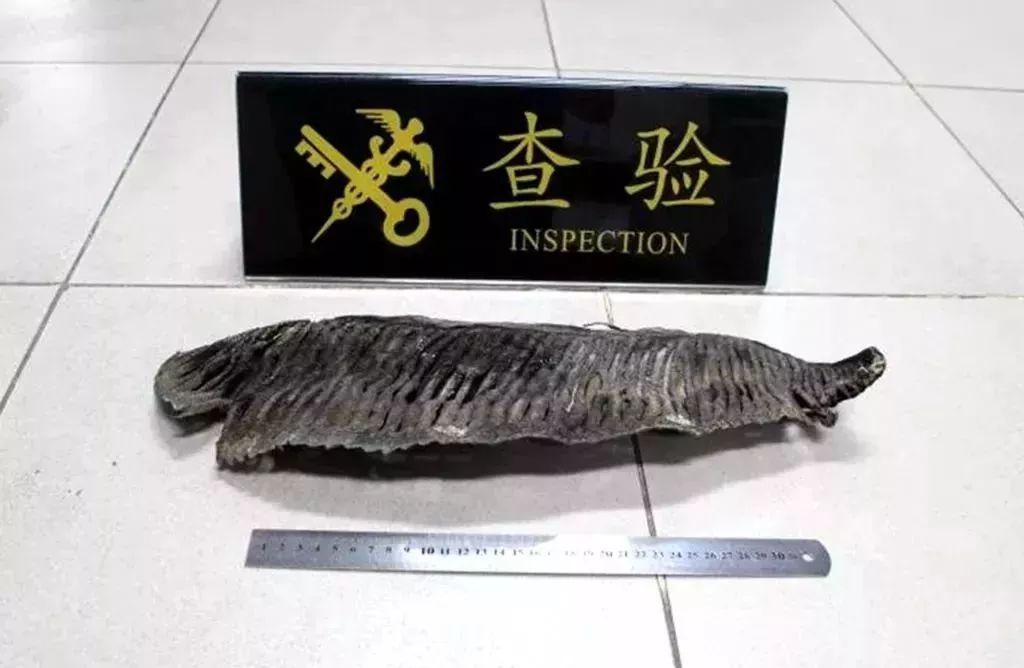 去香港怎么带东西不会被罚,出境香港禁止带什么东西