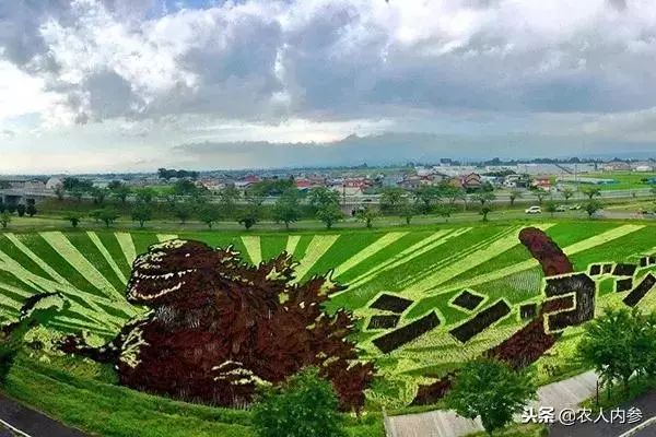 农业与艺术,农业可以很艺术