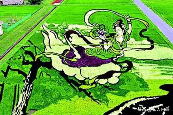 农业与艺术,农业可以很艺术