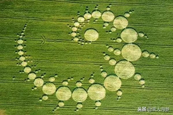 农业与艺术,农业可以很艺术