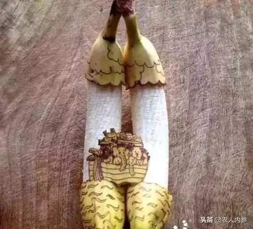 农业与艺术,农业可以很艺术