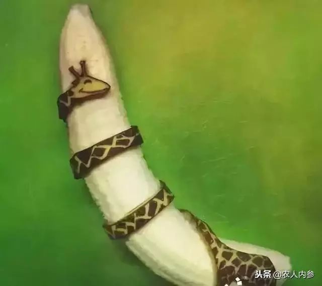 农业与艺术,农业可以很艺术