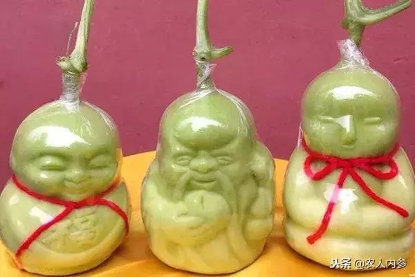 农业与艺术,农业可以很艺术