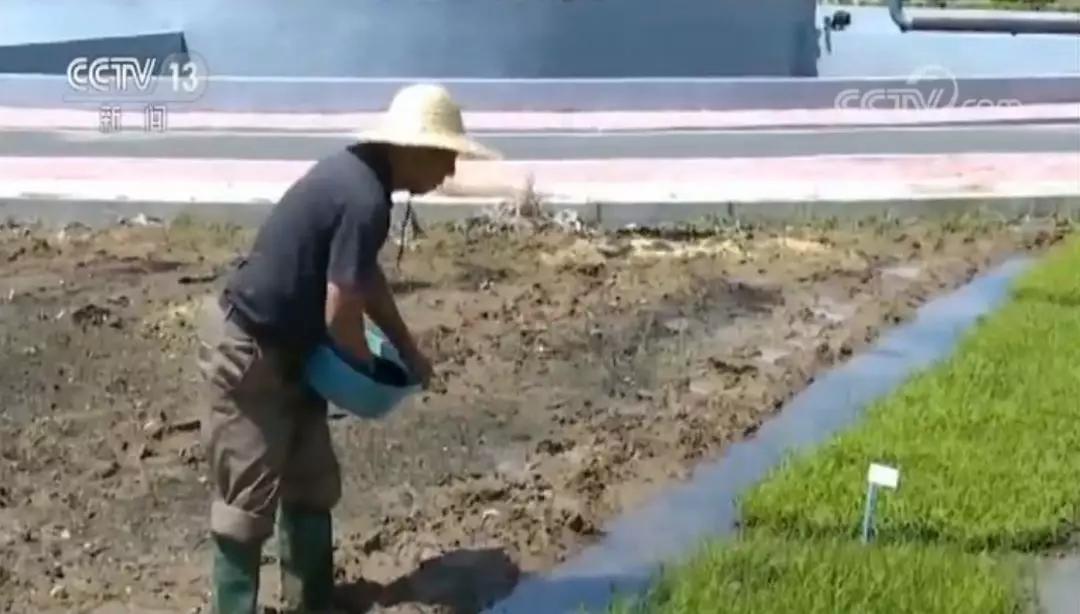 早安济南泉城,济南章丘城际brt971怎么坐