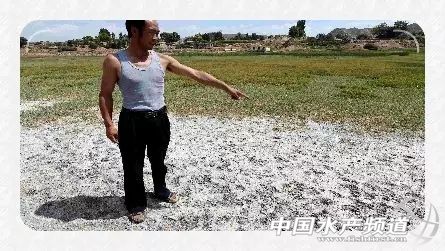 生态养鱼新模式,高档水产品养鱼最新模式