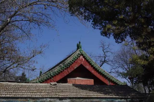 不会拍照构图怎么办,不会拍照教你拍照