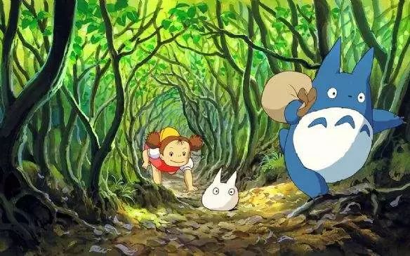 龙猫30年视频,龙猫三十年后是什么样子