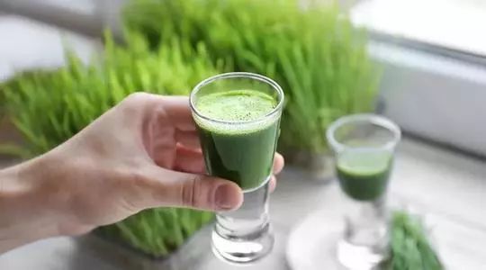 为什么喝了大麦青汁反而便秘了,大麦若叶青汁可以解决便秘吗