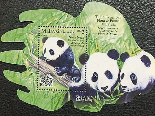 想养一只大熊猫有多不容易,中国养一只大熊猫的费用