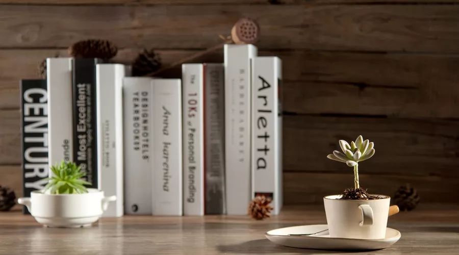 小学生写作文开头技巧讲解,小学写作文的十大技巧和方法