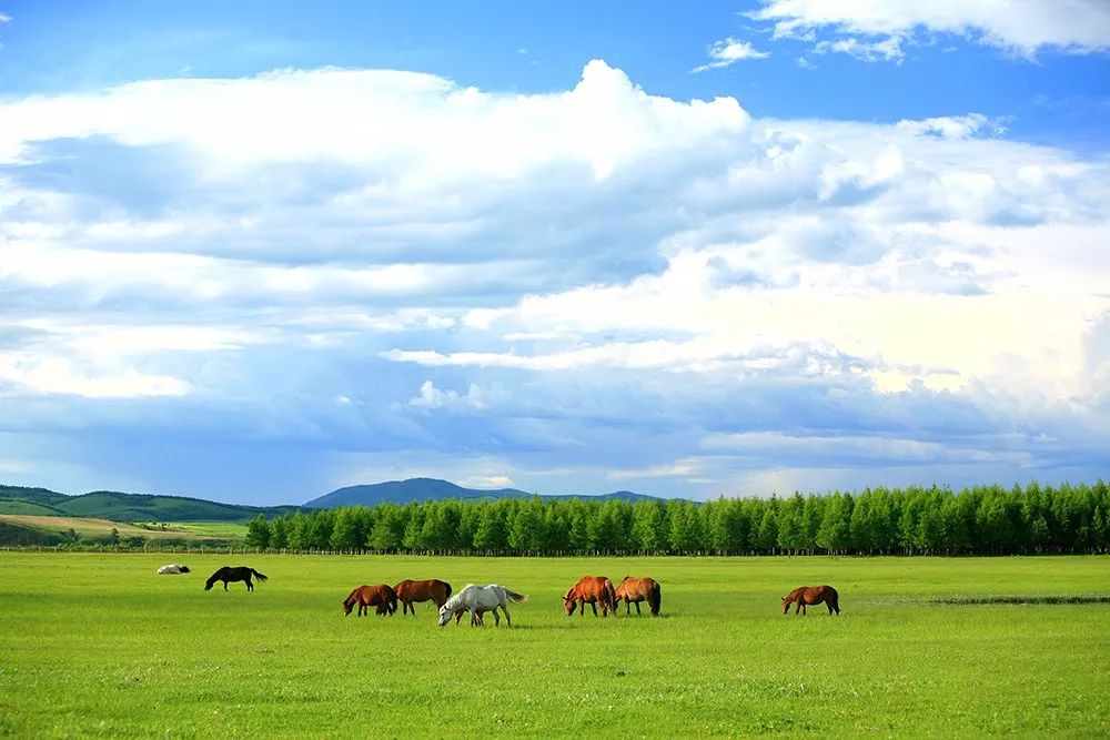 冰雪节到冰雪大世界,冰雪节很好吗
