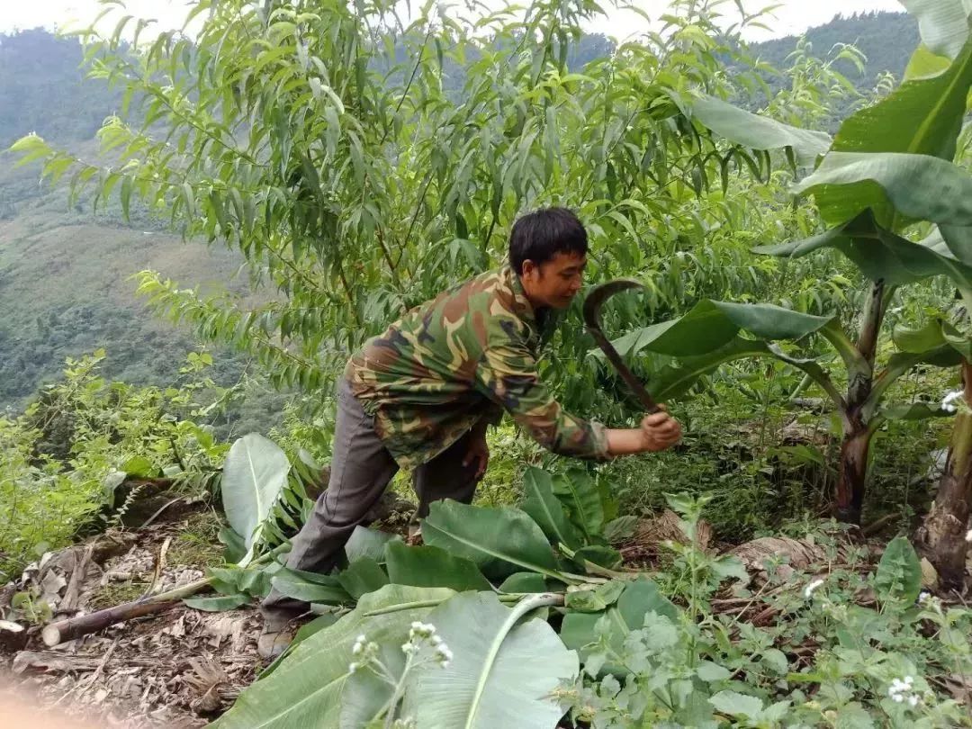 首届道德模范颁奖典礼视频,2018年河口县道德模范