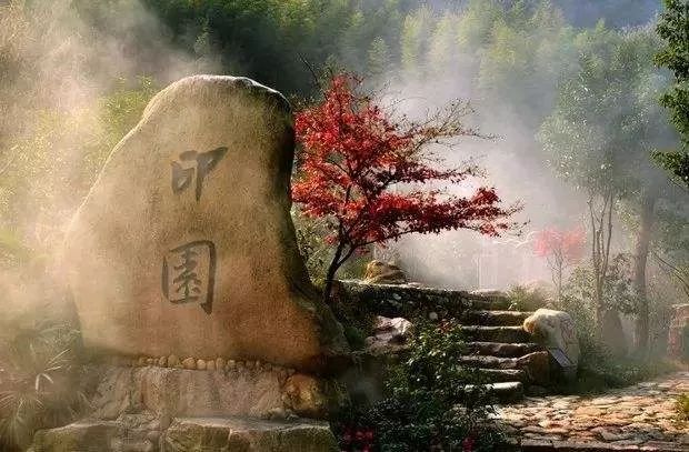 青田省级森林城镇,青田城市环境