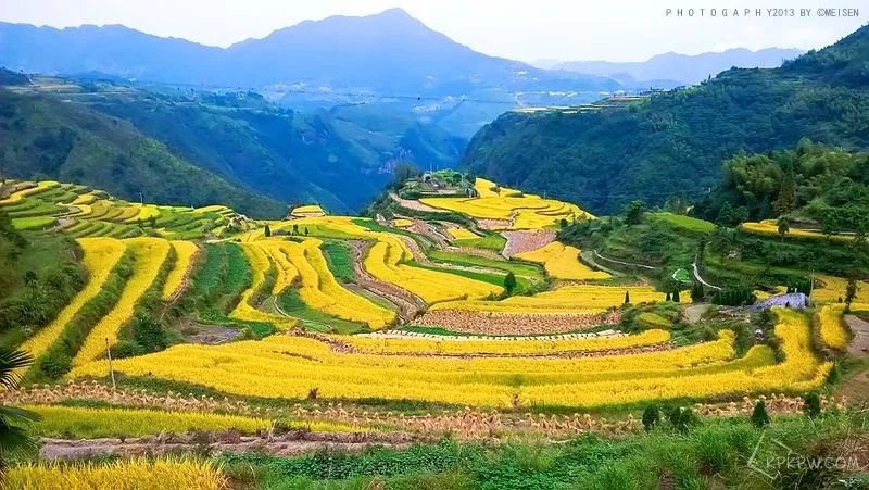 青田省级森林城镇,青田城市环境