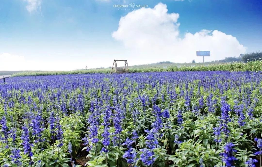 你还不知道乡村旅游吗,你还不知道哪些地方好玩