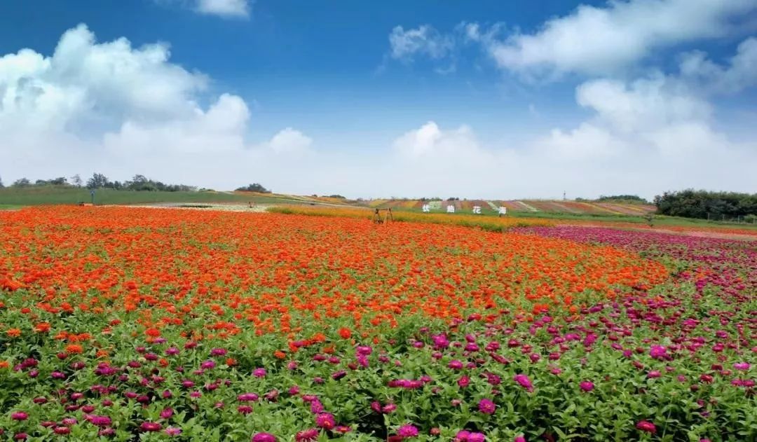 你还不知道乡村旅游吗,你还不知道哪些地方好玩