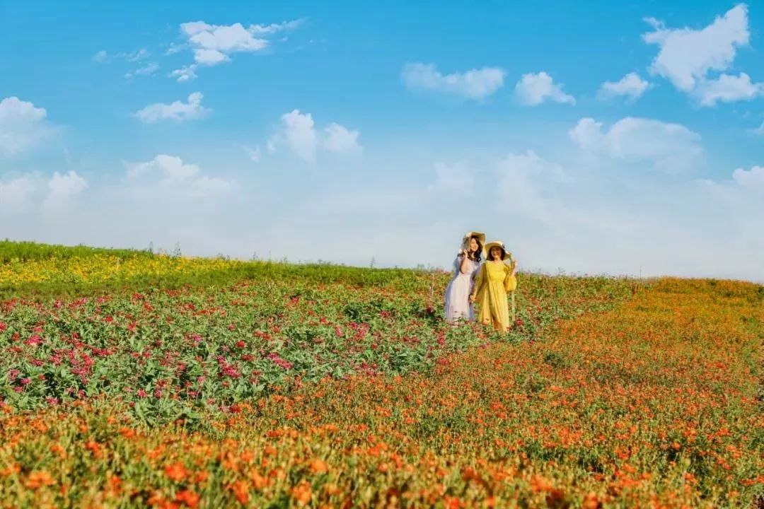 你还不知道乡村旅游吗,你还不知道哪些地方好玩