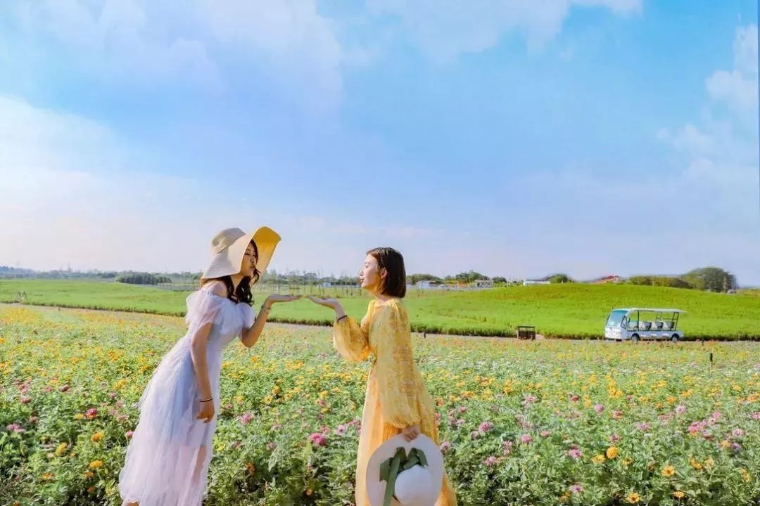 你还不知道乡村旅游吗,你还不知道哪些地方好玩