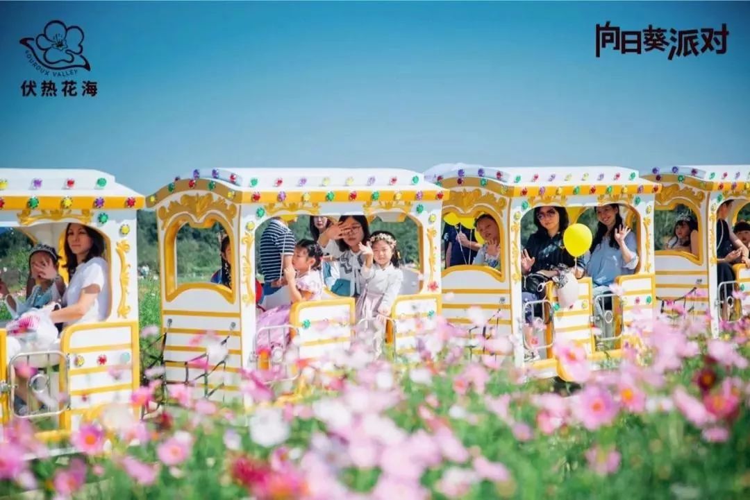 你还不知道乡村旅游吗,你还不知道哪些地方好玩