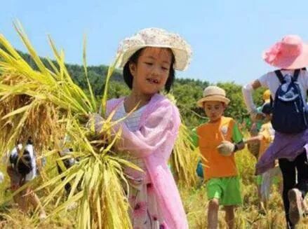 你还不知道乡村旅游吗,你还不知道哪些地方好玩