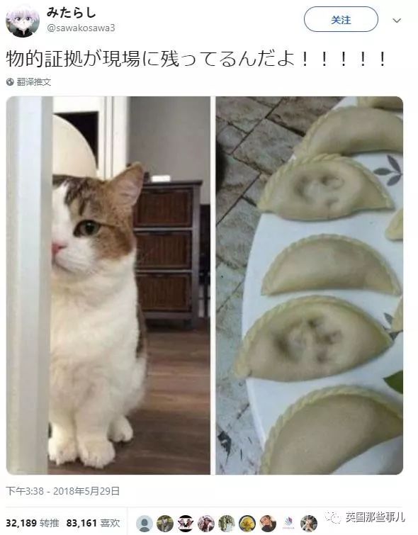 2018年在日推上“青史留名”的喵星人，引起舒适！